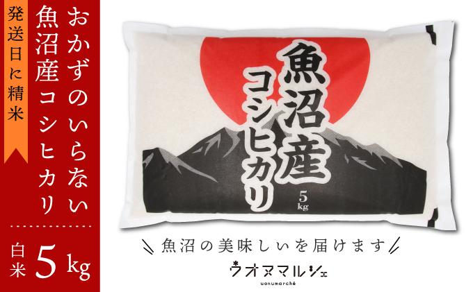 【令和7年産新米予約】おかずのいらない 魚沼産コシヒカリ　白米５ｋｇ　令和７年産【2025年10月上旬より順次発送予定】