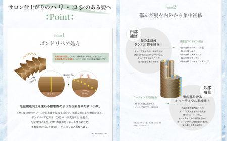 12回 定期便 サロン・ド・オーデ ボンドリペア シャンプー ＆ トリートメント 各 500ml 2本 セット 合計 24本 ダメージ補修 ボトル 液体 アロインス製薬 美容 美容品 化粧品 日用品 