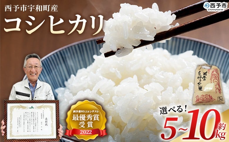 
                  ＜令和7年産 西予市宇和町産 コシヒカリ 約5kg/10kg＞ お米 コメ こめ 白米 精米 ご飯 穀物 こしひかり 西予米NO.1コンテスト 最優秀賞 受賞 特産品 愛媛県産 西予市産 宇和町産 時谷ファーム 愛媛県 西予市 【常温】『2025年11月から順次出荷予定』
                