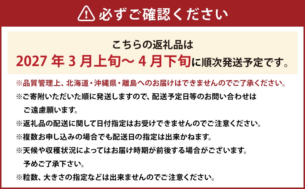 春のあまおう（2L・2A・G規格以上 6パック）【数量限定】