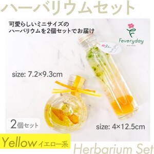ハーバリウムセット イエロー系 お祝いやお誕生日におすすめ【配送不可地域：離島・沖縄県】【1636487】