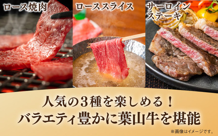 【全3回定期便】葉山牛 少量3種食べ比べセット 牛肉(ロース・ローススライス・サーロインステーキ)[ASBD024]