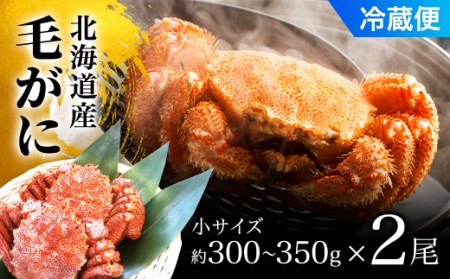 毛がに小サイズ２ハイ（冷蔵） 【 ふるさと納税 人気 おすすめ ランキング かに カニ 蟹 毛ガニ 毛蟹 塩ゆで ボイル ゆでたて 冷蔵 鍋 パスタ かにめし 炊き込みご飯 かにみそ かに味噌 甲羅盛り 北海道 長万部町 送料無料 】 OSMA001