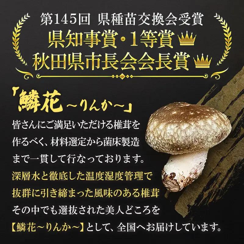 鱗花 -錦-（生椎茸） 約1kg