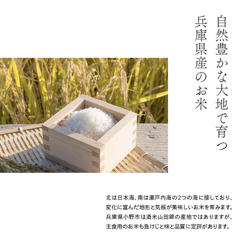 兵庫県産コシヒカリ、ヒノヒカリ、キヌヒカリ 3点セット 15kg(玄米) お米 食べ比べ 5kg×3袋 