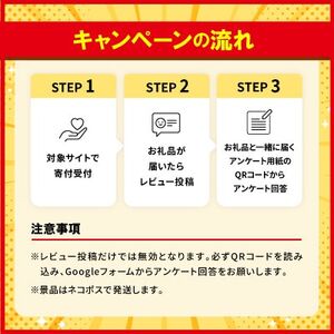 【沖縄本場の味・レビューキャンペーン対象】与那覇食品の沖縄そば＆ソーキそば 各2食セット【1663185】