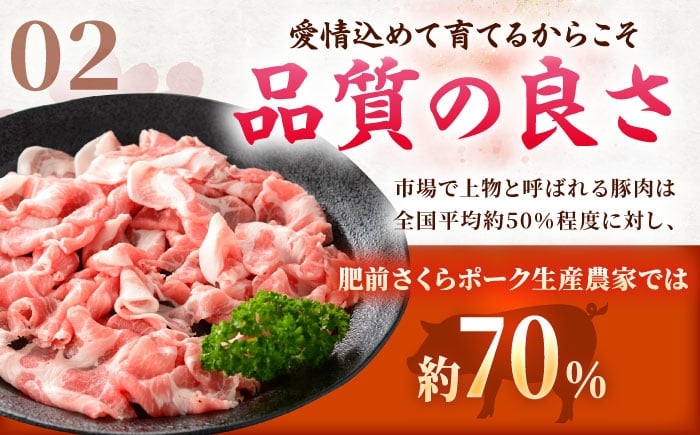 肥前さくらポーク 切り落とし 500g × 6パック 計 3kg | 豚肉 肥前さくらポーク 切り落とし 豚 小分け 大容量