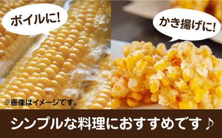 農家直送 朝どれ スイートコーン 白 黄 食べ比べ セット 約4kg （９-12本入り）《豊前市》【湯越農園】 野菜 コーン[VBC002] とうもろこし とうもろこし スイートコーン とうもろこし 