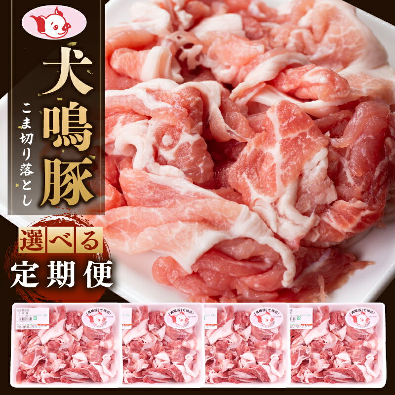 【ふるさと納税】【泉佐野ブランド豚】国産豚 小間 切り落とし 1.4kg 定期便 3回 / 6回 【毎月配送】 総量 4.2kg / 8.4kg 豚肉 犬鳴豚 小分け 普段使い 国産 肉 豚こま ブランド豚 モモ ウデ バラ 生姜焼き 豚汁 お取り寄せ 泉佐野市 送料無料 肉の泉佐野