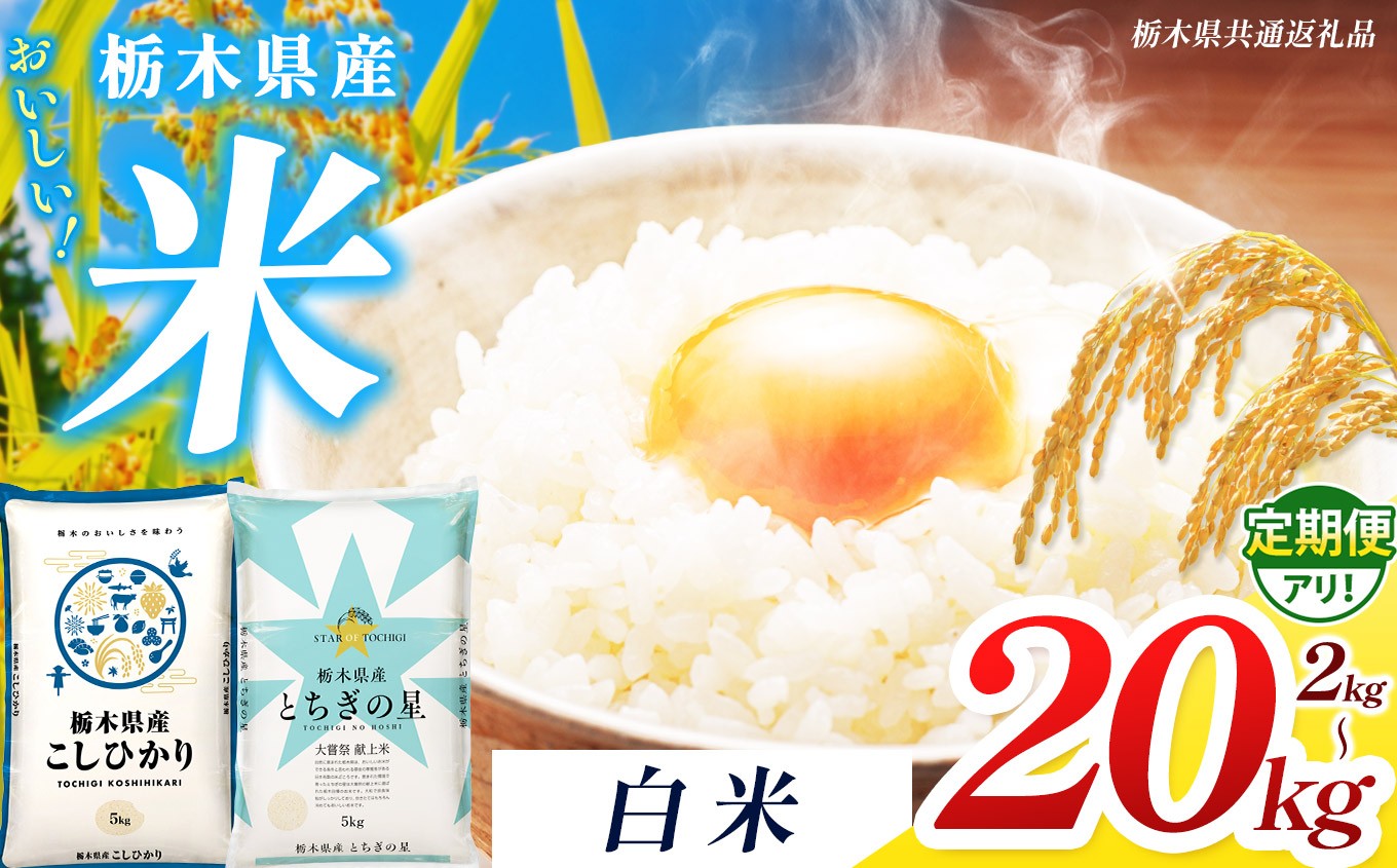 
                  【栃木県共通返礼品】【先行予約】【令和8年度産】 訳あり 栃木県産 コシヒカリ とちぎの星 白米 選べる 内容量 定期便 2kg ~ 20kg | 定期便 選べる ふるさと 納税 コシヒカリ とちぎの星 お米 精米 白米 大粒 小粒 okome kome ご飯 無洗米 栃木県 那珂川町 送料無料
                