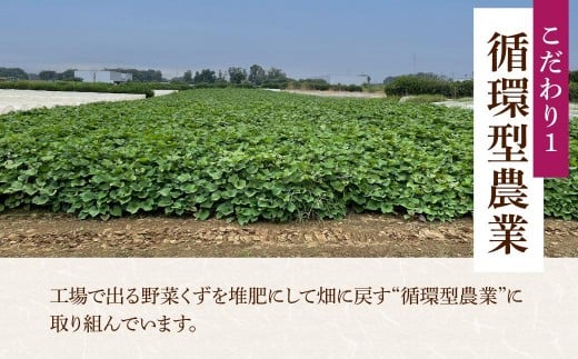 さつまいも 紅はるか 5kg | さつまいも サツマイモ さつま芋 さつまいも サツマイモ さつま芋 さつまいも サツマイモ