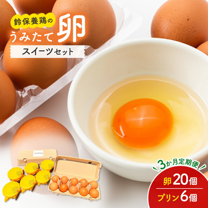 【ふるさと納税】【3か月定期便】 うみたて 卵 スイーツ セット 鈴保養鶏 たまご 20個 プリン 6個玉子 詰め合わせ 鶏卵 こだわり おやつ たまご定期便