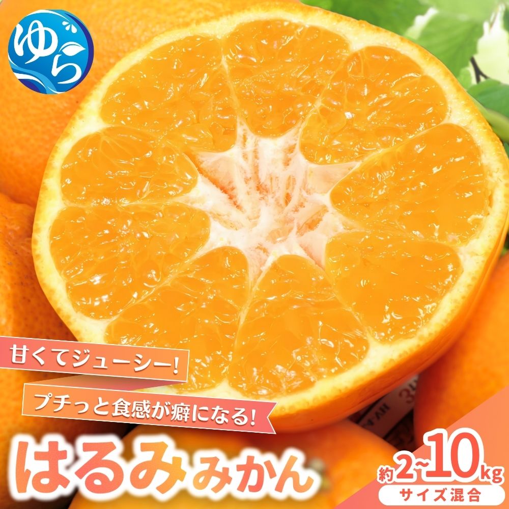 【ふるさと納税】 はるみみかん 【選べる容量】約2kg 約5kg 約10kg 【来シーズン先行予約】S～4L混合 ※2026年2月上旬～順次発送農家直送 / くだもの 果実 柑橘 果物 フルーツ 国産 和歌山県 由良町 ご家庭用 人気 おすすめ