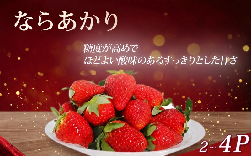 
                  【2027年発送】いちご イチゴ ならあかり 約520g～1040g 260g×2P 260g×4P 先行予約 苺 ブランド 月 旬 産地 農場 直送 フレッシュ スイーツ スムージー フルーツ 果物 国産 ベリー strawberry berry 贈答用 プレゼント 人気 ふるさと納税 ふるさと おすすめ 季節限定 期間限定 奈良県 奈良市 なら ファーム和だや fwd006_R9_OYA
                