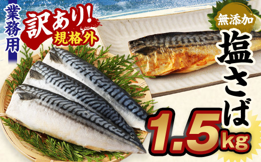 
【訳あり規格外】 業務用無添加塩さば 1.5kg 鯖 さば 塩サバ 干物 魚
