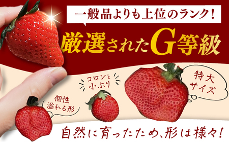 【2025年2月上旬より発送】あまおうG等級 1ケース（270g×2パック） イチゴ いちご 苺 福岡 広川町 / JAふくおか八女農産物直売所どろや[AFAB069]