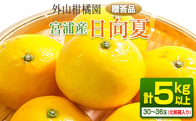 先行予約 宮浦産 日向夏 計5kg以上 化粧箱入り 2027年 令和9年発送 フルーツ 果物 くだもの 柑橘 みかん みかんジュース デザート おやつ Mサイズ 国産 食品 ギフト 贈り物 プレゼント 贈答 お返し 手土産 ご褒美 産地直送 常温 宮崎県 日南市 送料無料_BCV20-26