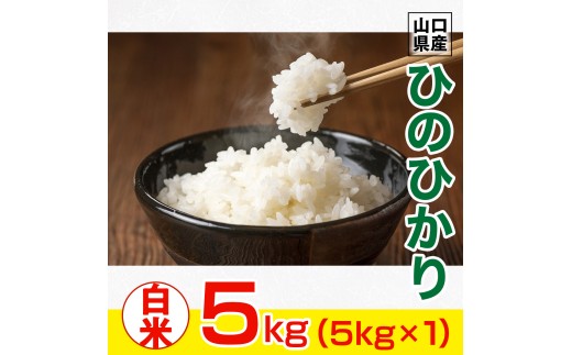 AF0201 山口県産 ひのひかり 5kg 米 精米