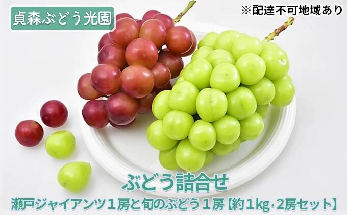 【ふるさと納税】ぶどう詰合せ 瀬戸ジャイアンツ 旬のぶどう 約1kg 2房セット 貞森ぶどう光園 ぶどう ブドウ 葡萄 フルーツ 果物　【 大粒 人気 皮ごと 熟した 採れたて 食べ比べ ピオーネ 】　※2025年9月上旬～9月下旬頃に順次発送予定