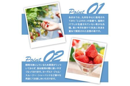 苺の王様！冷凍あまおう苺(計2kg・約500g×4袋)ふるさと納税 春日市 特産品 いちご イチゴ 冷凍 シャーベット ヨーグルト ジャム＜離島配送不可＞【ksg0065】【南国フルーツ】