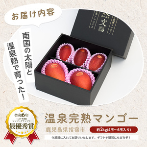 完熟マンゴー！いぶすきの温泉熱で育てた温泉完熟マンゴー約2kg4～6個【2024年 発送】(T＆P/S-002）マンゴー 完熟マンゴー マンゴージェラート