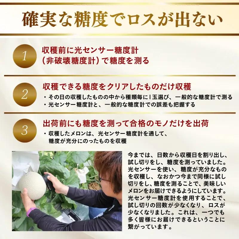 【先行予約】赤肉パリスメロン 秀品 1玉（1.5kg以上）【アールス系赤肉メロン】《糖度16度程度！1株1果採りで育てる高級メロン！》／ 果物 フルーツ 農家直送 赤肉 マスクメロン アールスメロン 
