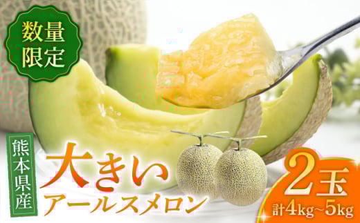 【数量限定】【先行予約】アールスメロン 約4kg〜5kg（4L〜5L）2玉入【道の駅 水辺プラザかもと】 [ZEG001]