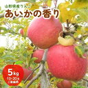 【ふるさと納税】 りんご (あいかの香り) 5kg ご家庭用 10～20玉 果物 フルーツ 産地直送 山形 お取り寄せ 送料無料 山形県 上山市 0075-2412