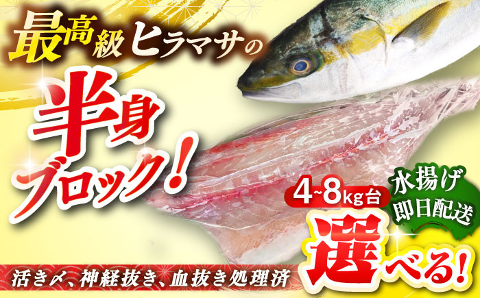 
            【選べるサイズ4～8キロ台】壱岐島産天然ヒラマサ（半身ブロック） 《壱岐市》【壱岐島　玄海屋】[JBS085] ヒラマサ 魚 刺身 煮物 カルパッチョ お寿司  のし プレゼント ギフト
          