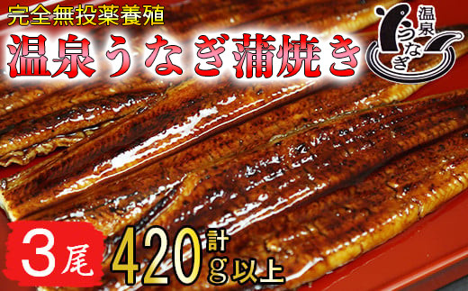 
温泉うなぎ蒲焼 3尾（140gサイズ） 国産うなぎ 人気 国産 蒲焼 蒲焼き かば焼き 鰻屋 個包装 冷凍 真空 ＜104-008_5＞
