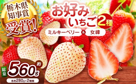 【2027年先行予約】白いちごミルキーベリー×伝統の女峰 食べ比べセット 560g
