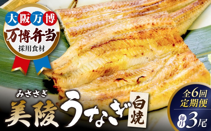 
                  【全6回定期便】鰻 鰻の白焼 3尾/美陵鰻 鰻 うなぎ ウナギ 蒲焼 蒲焼き かば焼き かばやき 白焼き 白焼 しろやき しらやき 特大 肉厚 うな重 うな丼 ひつまぶし 惣菜 おかず タレ 山椒 国産 土用 丑の日 ギフト 美陵鰻 関西風地焼き 高級 ふっくら 冷凍 定期 国産うなぎ 蒲焼き おすすめ 人気 / 大阪府藤井寺市/Giverichホールディングス株式会社 [BLAM012]
                