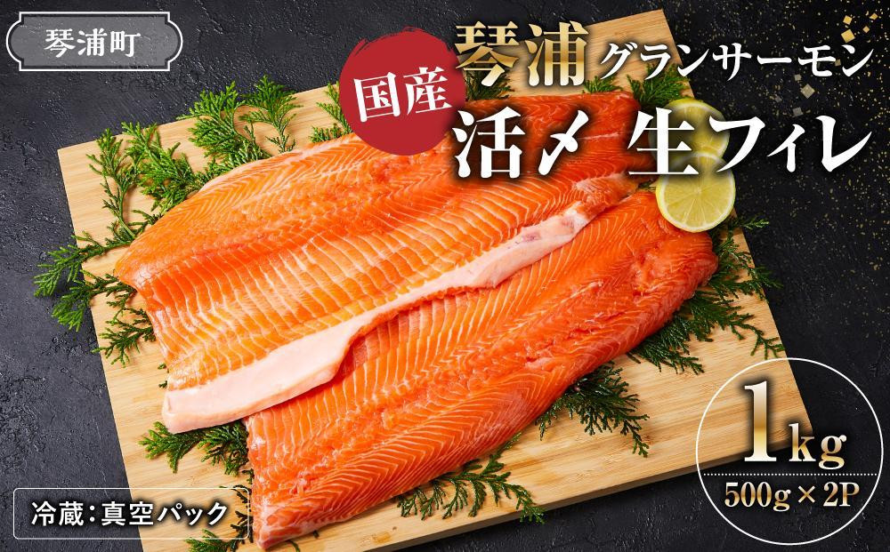 
            ＼国産 サーモン／ 琴浦 グランサーモン 約1kg ( 500g × 2p ) フィレ 養殖サーモン 陸上養殖 生サーモン 魚 海鮮魚介 ふるさと納税 鮭 サケ 鮮度抜群 人気 おすすめ 鳥取 グルメ 真空パック 冷蔵 ふるさと サーモン
          