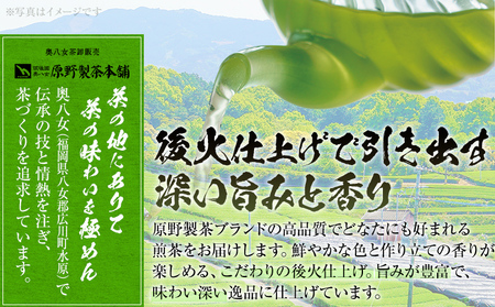 福岡 八女茶 煎茶 600g（100g×6袋） お茶 緑茶 原野製茶 奥八女 八女 茶葉 福岡県 福岡 九州 グルメ お取り寄せ