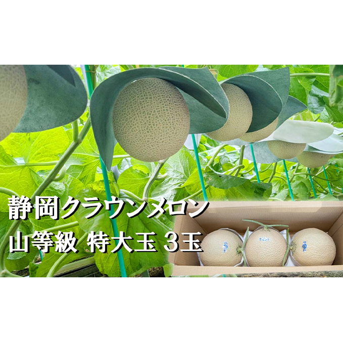 クラウンメロン【上（山等級）】特大玉（1.5kg前後）3玉入り 人気 厳選 ギフト 贈り物 デザート グルメ 果物 袋井市
