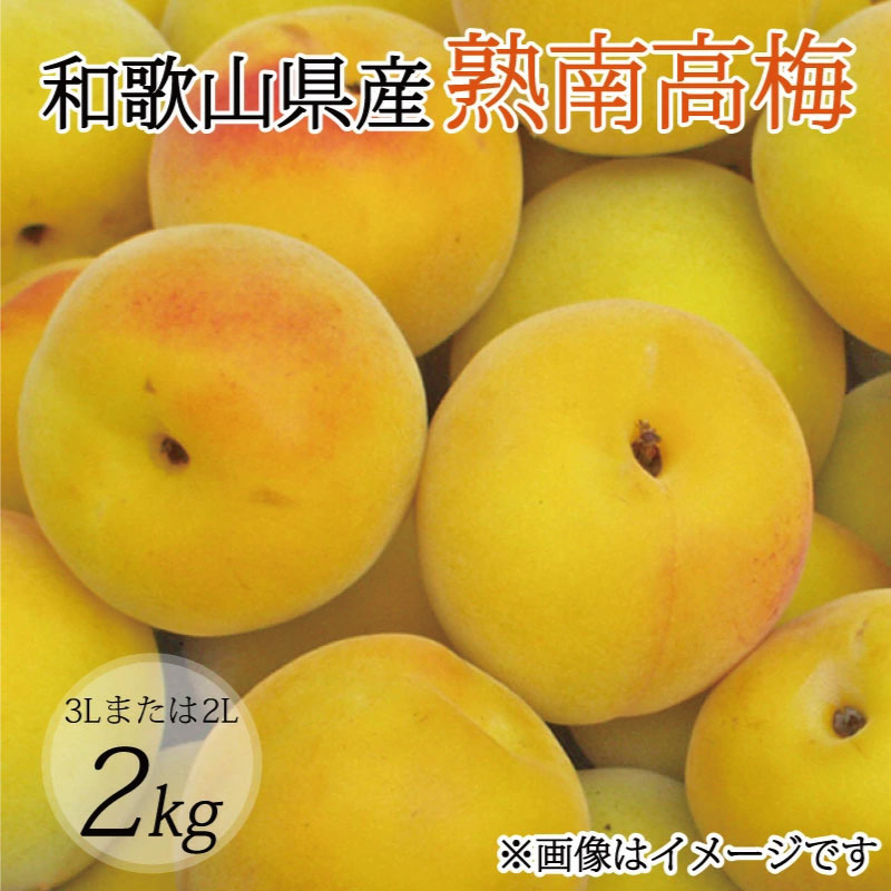 【ふるさと納税】【梅干・梅酒用】（3Lまたは2L－2Kg）熟南高梅＜2026年6月上旬～7月7日発送予定＞フルーツ 果物 くだもの 食品 人気 おすすめ 送料無料【ART06】
