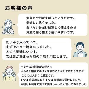 訳あり ホタテ 500g ＼ ほたて ／