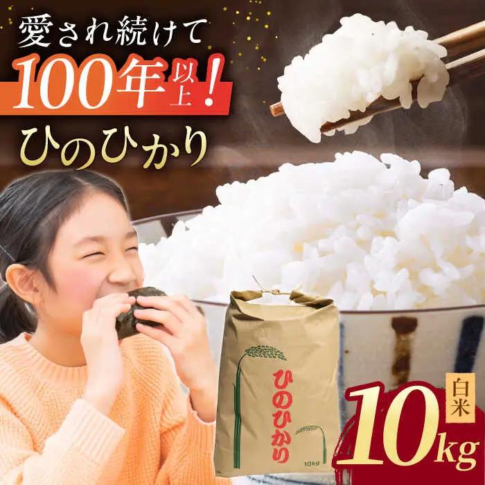ヒノヒカリ 白米10kg 【角田農園】[ZEV002] 白米 コメ ごはん  熊本 山鹿
