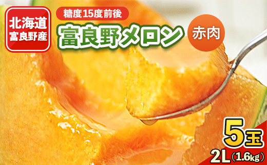 
                  2026年先行予約 富良野メロン　2Lサイズ(1.6kg)赤肉　5玉入り【1280999】
                