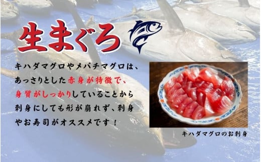 【訳あり】和歌山県すさみ産 天然生マグロ 冷凍 生 約200g×10個　マグロ 海鮮丼 鮪 寿司 海鮮  小分け 刺身 和歌山 すさみ町 キハダマグロ メバチマグロ 大容量 