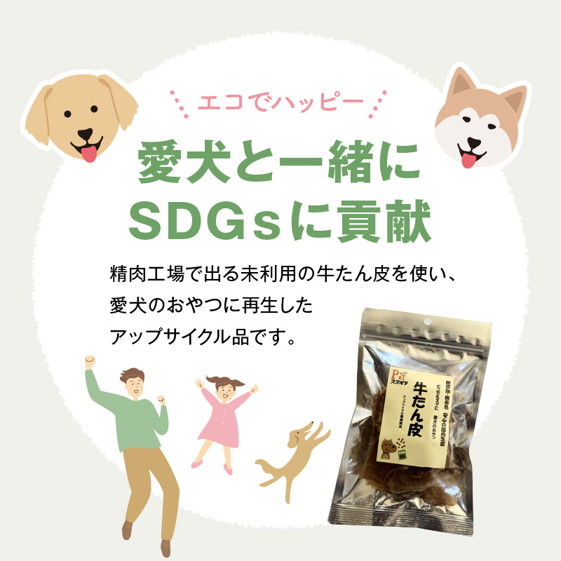 愛犬のおやつ 牛たん皮 40ｇ×3個入り 無添加 無着色 安心 国内生産 愛犬 おやつ ワンちゃん わんこ 喜ぶ ジャーキー SDGｓ H160-010