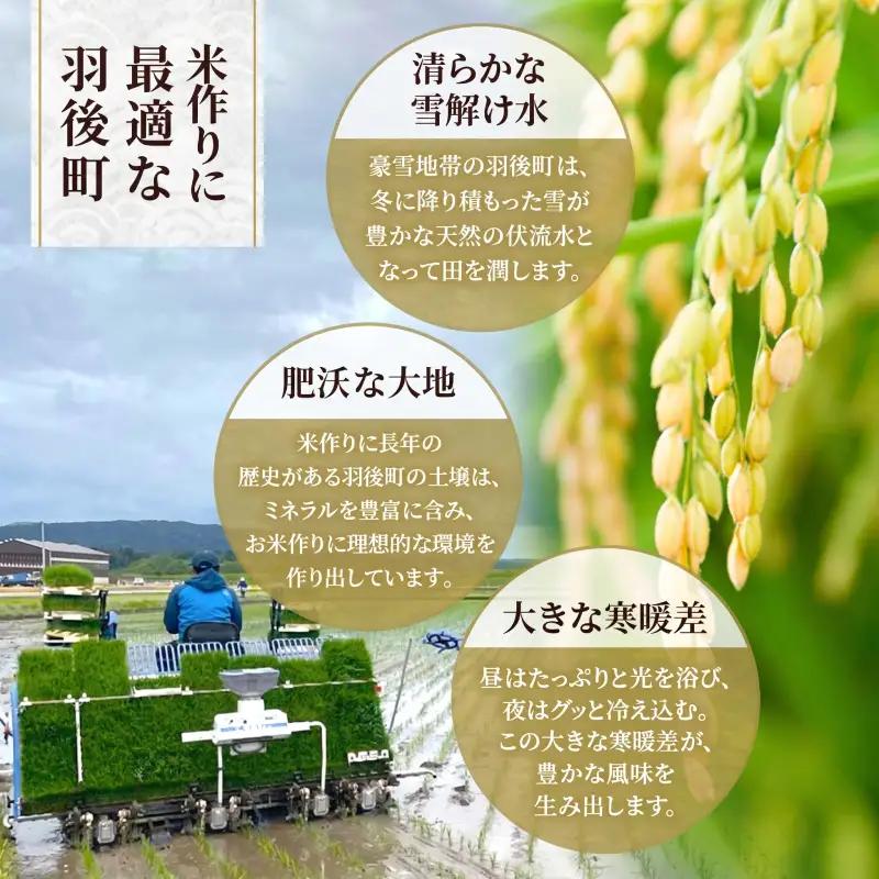 令和8年産 定期便 あきたこまち 10kg 全6回 秋田 米 あきたこまち