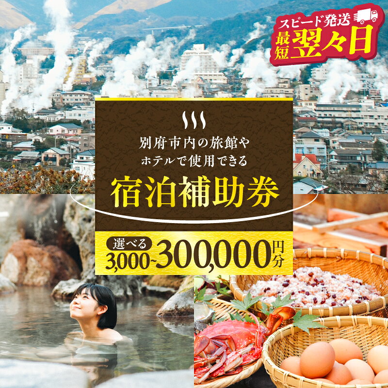 大分県別府市 宿泊補助券 3,000円分