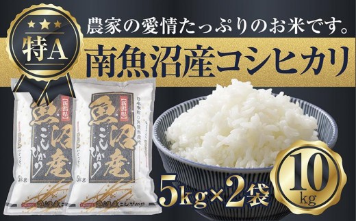 
                  【令和7年産】 新潟県 南魚沼産 コシヒカリ お米 5kg×2袋 計10kg 精米済み（お米の美味しい炊き方ガイド付き）
                