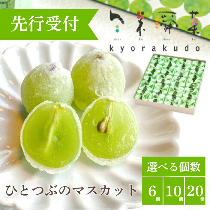【ふるさと納税】【先行受付】ひとつぶのマスカット 選べる個数 6・10・20個 2026年5月中旬以降発送予定 共楽堂 夏季限定品 ぶどう ブドウ スイーツ デザート 和菓子 お菓子 018003-r