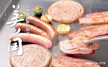 【ふるさと納税】 北海道プレミアム 美ノ国 熟成あらびきステーキ＆ソーセージ 10点セット 肉 にく 贈答 ギフト 詰め合わせ あらびきステーキ あらびき ソーセージ ウィンナー お中元 お歳暮 中元