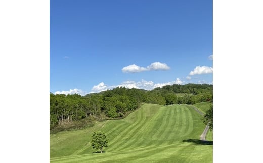 岩見沢パブリック雉ヶ森ゴルフコース カップ位置指定及びカップ切り体験・プレー券【48002】