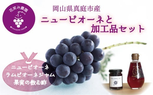
                  【2027年先行予約】花笑み農園　岡山の『ピオーネ&ラムピオーネジャム&飲む酢』 【hana071-03】
                