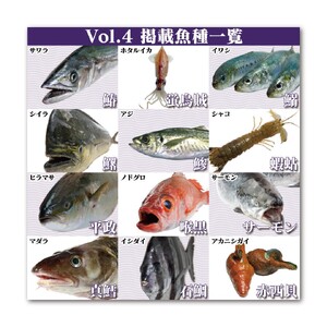 Fのさかなおもしろ図鑑vol.4（単品）