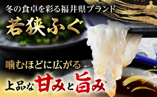 若狭ふぐ お手軽 鍋 刺身 セット [冷蔵](未冷凍) 2人前｜【TVで紹介されました : 旅サラダ】 てっさ てっちり （とらふぐ 刺身）福井県産 産地直送 【配送不可地域：北海道・沖縄・離島】  
